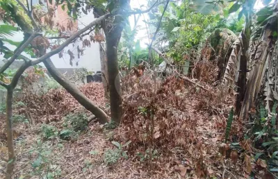 Terreno à venda na rua remanso, 58, vila nova bonsucesso, guarulhos, 338 m2 por r$ 600.000