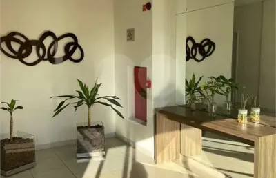 Apartamento com 3 quartos à venda na rua araguaia, 135, vila curuçá, santo andré, 85 m2 por r$ 888.000