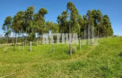 Chácara / sítio com 1 quarto à venda no Centro, Piratininga 