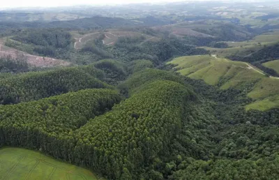 Fazenda à venda na Rua Marcílio Dias, Zona Rural, Reserva