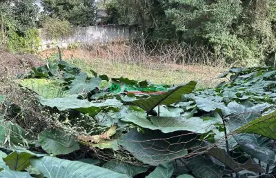 Terreno para venda em jardim santa paula de 1200.00m²