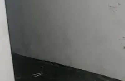Casa térrea em independência  -  são bernardo do campo