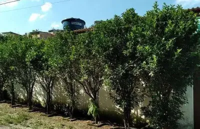 Sobrado em recreio da borda do campo  -  santo andré