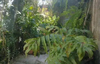 Casa com 3 quartos à venda no Montanhão, São Bernardo do Campo 