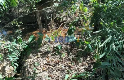 Chácara / sítio à venda no centro, borda da mata , 2000 m2 por r$ 150.000