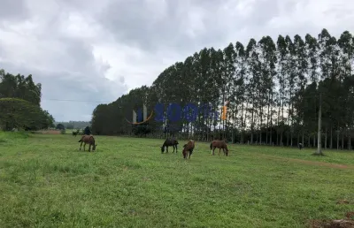 Fazenda à venda na rural, s/n, área rural de tucuruí, tucuruí por r$ 230.000.000