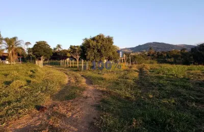 Chácara / sítio com 3 quartos à venda na área rural, s/n, peitudos, ouro fino, 11 m2 por r$ 1.400.000