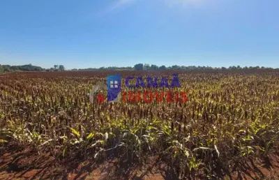 Área rural 6 hectares entrada cidade de indianopolis