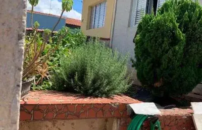 Ana imoveis - vende-se casa térrea - bairro: santo elias - pirituba
