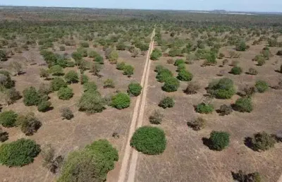 Fazenda à venda, 72600000 m² por r$ 225.000.000,00 - zona rural - porto nacional/to