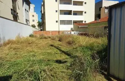 Terreno à venda, 351 m² por r$ 535.000,00 - vila ana maria - ribeirão preto/sp