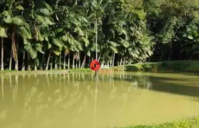 Chácara à venda, 3 quartos, 1 vaga, águas claras - jaraguá do sul/sc