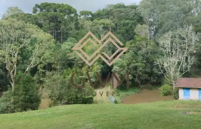 Chácara / sítio com 5 quartos à venda na Área Rural, 101, Zona Rural, São José dos Pinhais