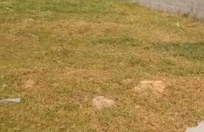 Ocean vende: itaipuaçu, terreno 480m², aterrado, água cedae, localizado rua 81
