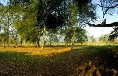 Ocean vende: cassorotiba, terreno, plano, cercado, 24.490m²