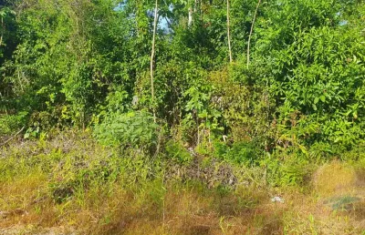 Terreno à venda, 192 m² por r$42.000,00 balneário alvorada itapoá sc.