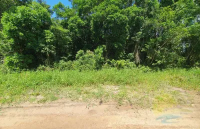 Terreno à venda, 450 m² por r$165.000,00 - balneário saí mirim - itapoá sc.