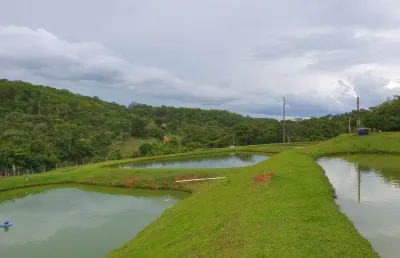 Chácara / sítio com 2 quartos à venda na Zona Rural, Setor Central, Orizona