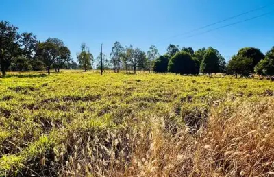 Chácara / sítio com 3 quartos à venda na Rua, Zona Rural, Bela Vista de Goiás