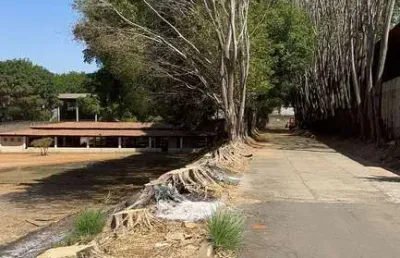 Barracão / Galpão / Depósito para alugar na Avenida Tamoios, 01/32, Jardim Eldorado, Aparecida de Goiânia