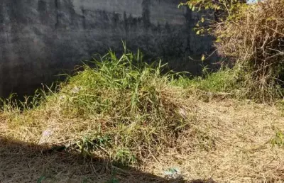 Terreno comercial para alugar em Cangaíba, São Paulo 