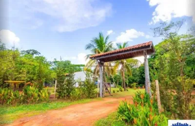 Chácara a venda, área gourmet, piscina, pomar, rio, palmeiras, mato grosso do sul