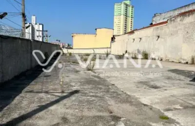 Terreno á venda ou locação na vila príncipe de gales em santo andré !