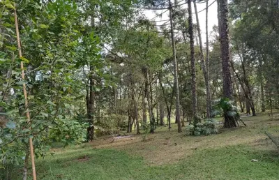 Chácara / sítio à venda na rua francisco caetano coradin, são dimas, colombo, 7980 m2 por r$ 599.300