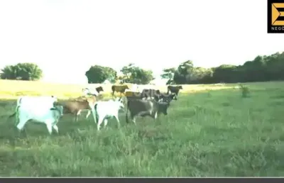 Fazenda à venda no bairro do aterrado em são sebastião do rio verde/mg