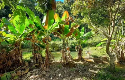 Chácara à venda no condomínio recanto florido em vinhedo/sp