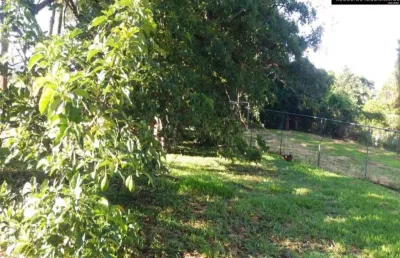 Chácara / sítio com 6 quartos à venda na Alameda Mangabeira, --, Chácaras Alpina, Valinhos