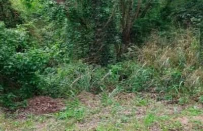 Terreno à venda na Rua Bruxelas, --, Altos do Morumbi, Vinhedo