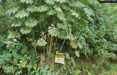 Terreno à venda na Alameda dos Mamoeiros, --, Parque Valinhos, Valinhos