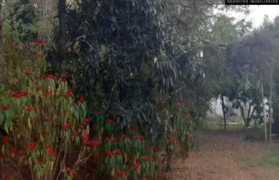 Chácara / sítio com 4 quartos à venda na Rua Fioravante Agnello, --, Lenheiro, Valinhos