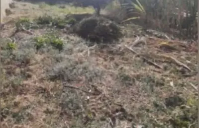 Terreno à venda no jardim parque portugal em valinhos/sp