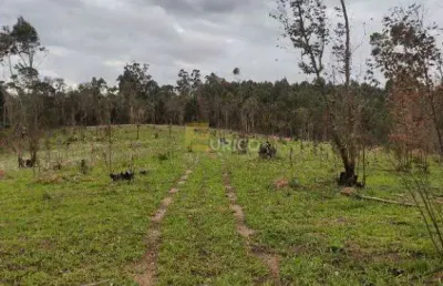Terreno à venda na Estrada Do Bugio, --, Leitão, Louveira