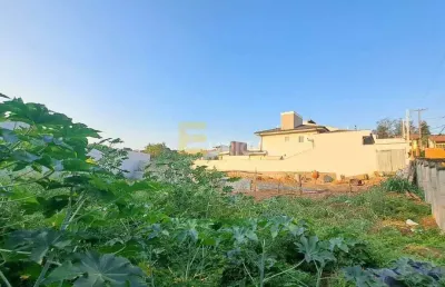 Terreno à venda no jardim das palmeiras em valinhos/sp