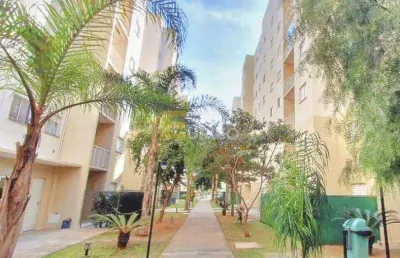 Apartamento à venda no condomínio mais campos salles em valinhos/sp