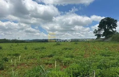 Barracão / Galpão / Depósito à venda na Rodovia Miguel Melhado Campos, --, Vila Alvorada, Itupeva
