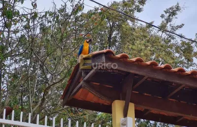 Casa com 3 quartos à venda na Rodovia José Bonifácio Coutinho Nogueira, --, Sousas, Campinas
