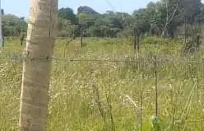 Prédio comercial à venda no bairro paraíso dos pescadores em são sebastião da bela vista/mg