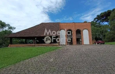 Chácara / sítio com 5 quartos à venda na r antonio vale, 73, samambaia, campo magro por r$ 2.700.000