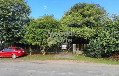 Terreno à venda na rua clara vendramin, 239, mossunguê, curitiba por r$ 3.750.000