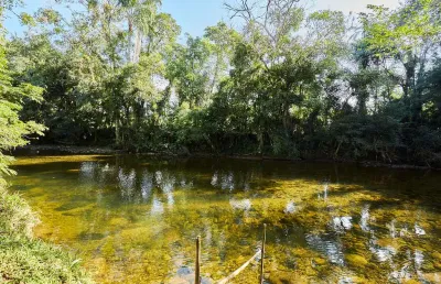 Chácara / sítio à venda na américa de baixo, centro, morretes por r$ 5.000.000