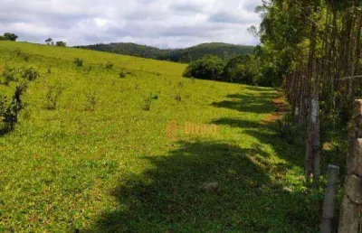 Fazenda à venda, 36 alqueires por r$ 4.500.000 - zona rural - pilar do sul/sp