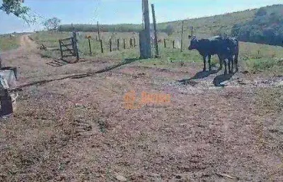 Fazenda à venda, 67 alqueires por r$ 16.000.000 - área rural - itapetininga/sp