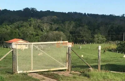 Sítio à venda, 20 alqueires por r$ 2.800.000 - área rural - itapetininga/sp