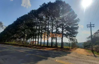 Sítio à venda, 135520 m² por r$ 1.100.000 - douradinho - piedade/sp