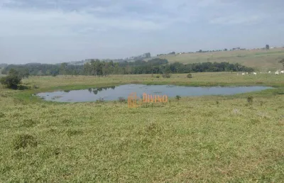 Sítio à venda, 12 alqueires por r$ 2.500.000 - área rural - itapetininga/sp