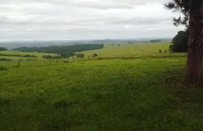 Fazenda pecuária à venda em riversul, sp 285 alqueires - oportunidade única!